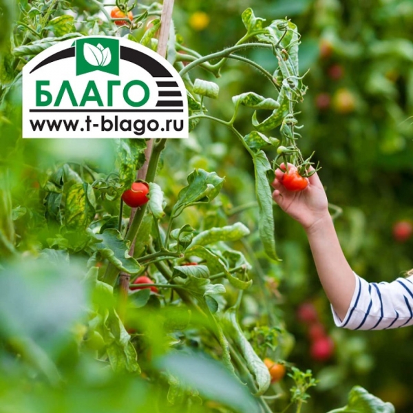 Товары для дачи и сада «Благо»